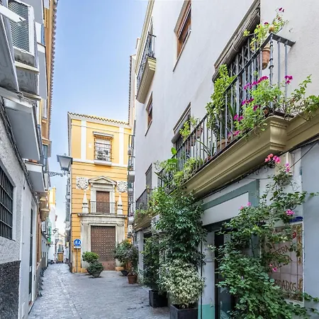 Duplex En Antigua Casa Palacio - Calle San Isidoro * Seville